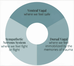 The Hidden Language of Your Nervous System Polyvagal Theory